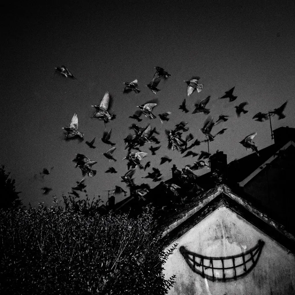 Black-and-white flash shot upward: a flock of birds detonating off a rooftop hedge into the night sky; on the gable below them, a huge sprayed grin — just teeth, no face.