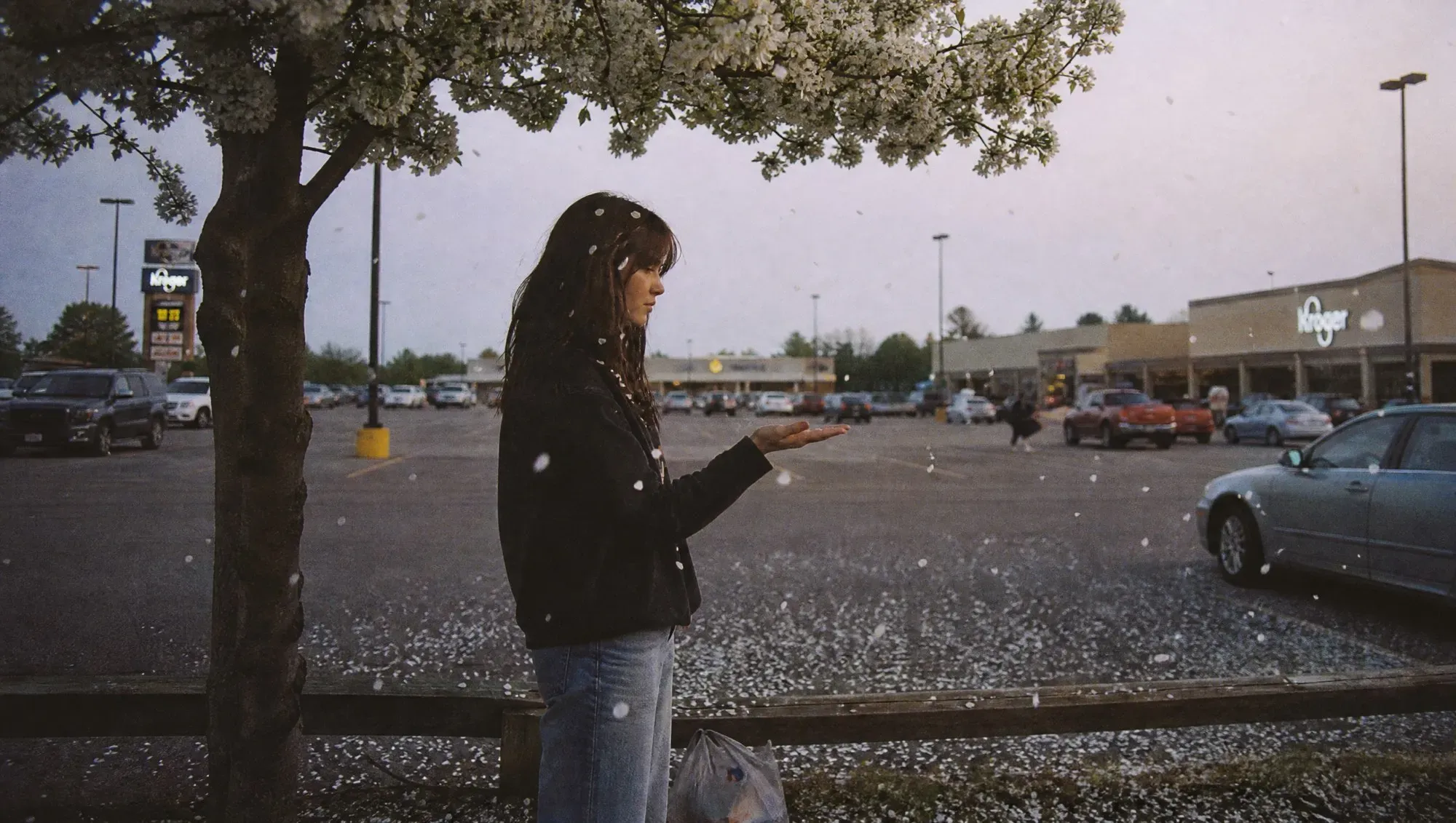 Dusk in a supermarket parking lot. A teenage girl stands under a blossoming tree, one hand held out flat, catching white petals as they fall.