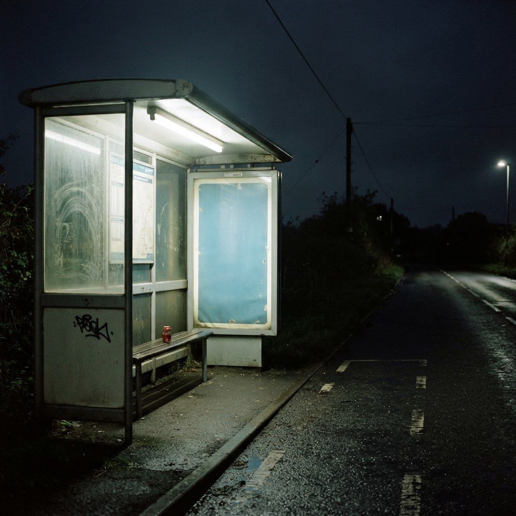 An empty bus shelter glowing white before dawn on a dark road, tagged panel, wet verge.