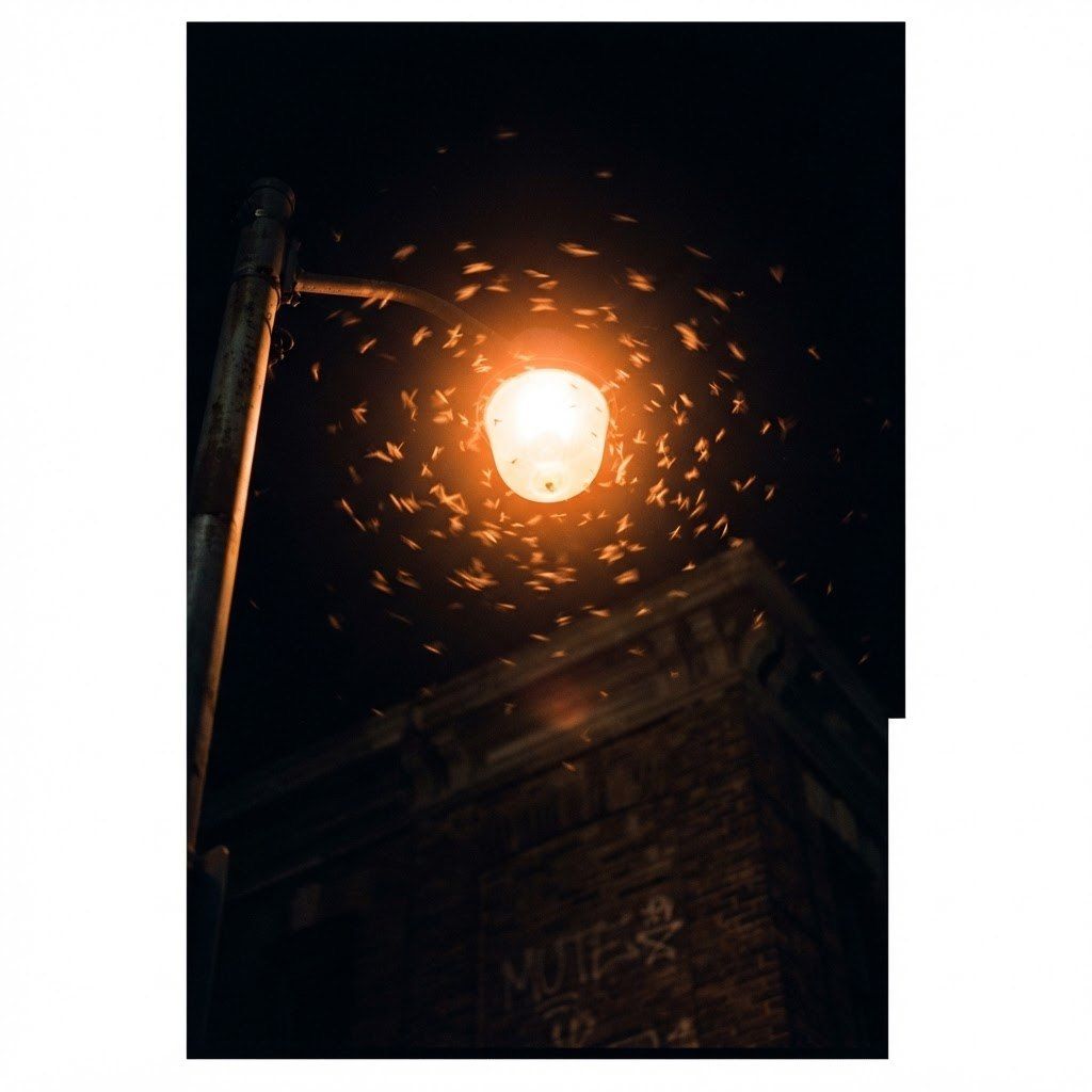 A white-bordered print: a street lamp at night mobbed by a spiral of moths, a tag reading MUTE on the pole below.